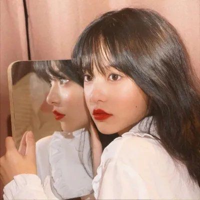 动物成长