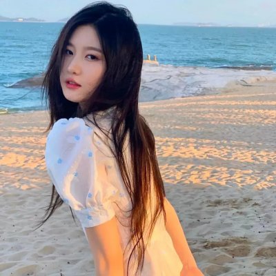 蒲公英的灰尘